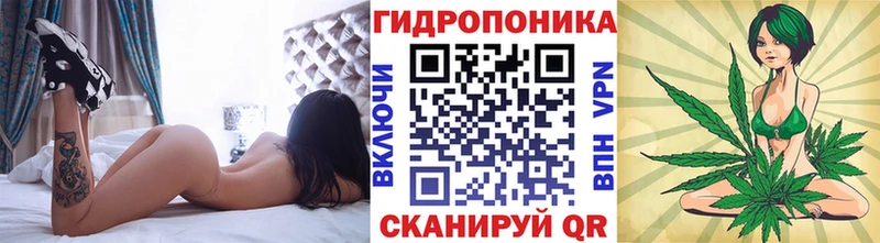 Купить закладку Лениногорск Альфа ПВП  Мефедрон  ГАШ  АМФ  Cocaine  Конопля 