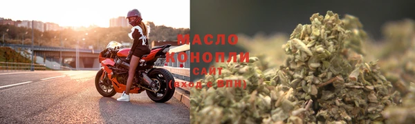 сатива Нязепетровск
