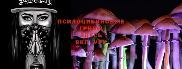 метадон Тавда