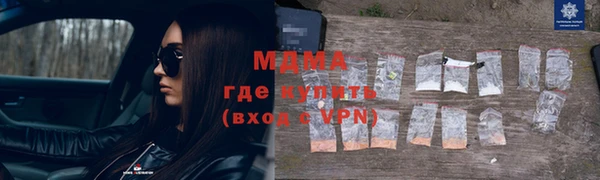 индика Новозыбков