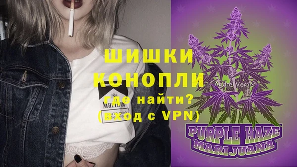 сатива Нязепетровск