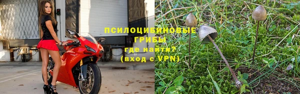 дурь Нягань