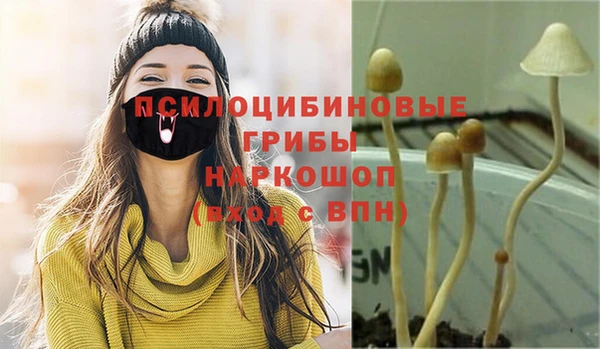 дурь Нягань