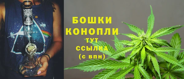 дурь Нягань