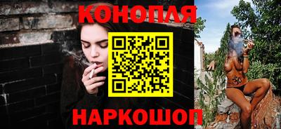 стаф Берёзовский