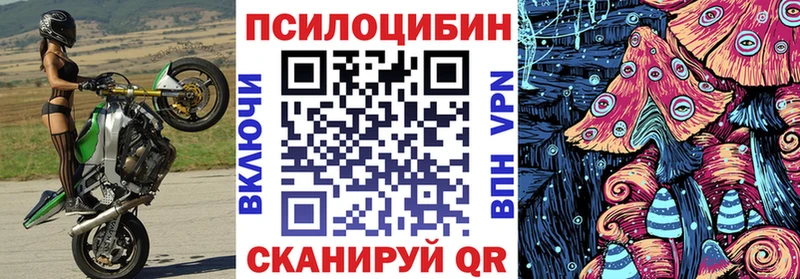 Псилоцибиновые грибы Psilocybe  сайты даркнета какой сайт  Лениногорск 