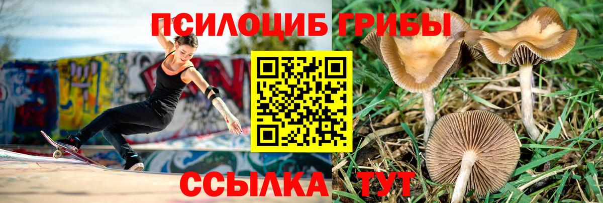 Псилоцибиновые грибы ЛСД  Лениногорск 
