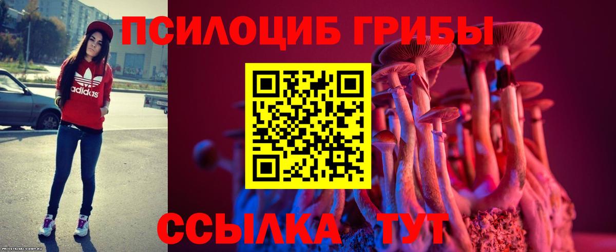 Лениногорск  Псилоцибиновые грибы мухоморы  Галлюциногенные грибы Psilocybine cubensis  Вход с VPN 